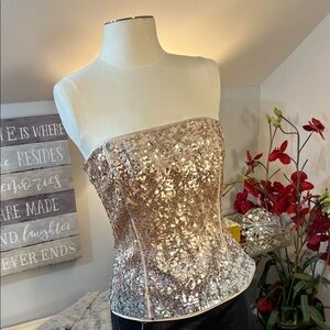 White House Black Market Champagne and Silver Sequin Strapless Corset Top Size 6